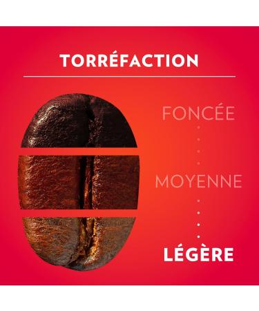 LAVAZZA - Il Mattino Ground Coffee 250g Packs Ideal for Filter or Manual Machine with Dried Fruit Notes for an Espresso - Buy Online on GoSupps.com