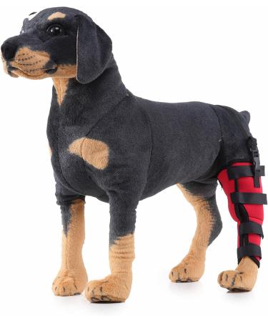 Dog Right Hind Leg Knee Brace Dog Braces for Back Legs Super Supportive for Heals Prevents Injuries Sprains Protects Wounds. B Medium - Buy Online on GoSupps.com