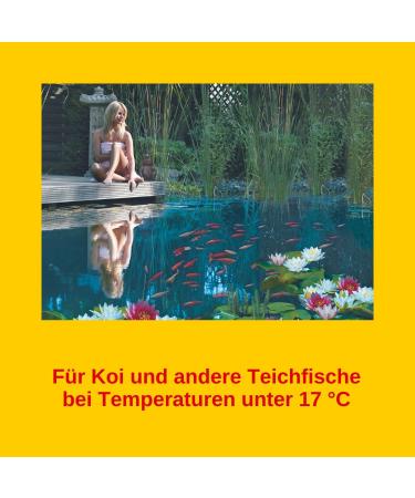 Sera Koi Professional KoiFutter 7 kg | Optimal Koi Food for Spring & Autumn | Reduces Water Pollution & Algae | Ideal for Temperatures Below 17 C | International Shipping Available - Buy Online on GoSupps.com