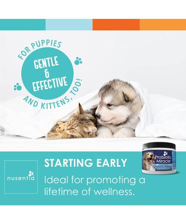 Probiotic Miracle for Cats & Dogs - 120 Scoops - Stop Diarrhea, Loose Stool, and Yeast - Buy Online on GoSupps.com