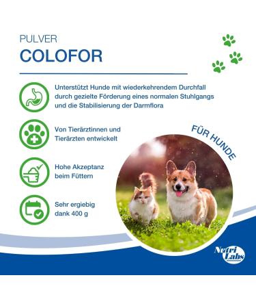 Nutrilabs Colofor Powder for Dogs 400g - Nutritional Supplement for Dog Diarrhea with Bentonite L-Glutamine & Prebiotics - Former Estifor Powder - Buy Online on GoSupps.com