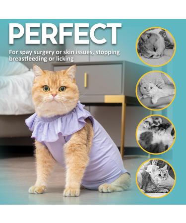 Avont Katzenbody: Recovery Suit for Cats - Post-Op Protection for Castration Spay & Abdominal Wounds - Lilac Large - Buy Online on GoSupps.com