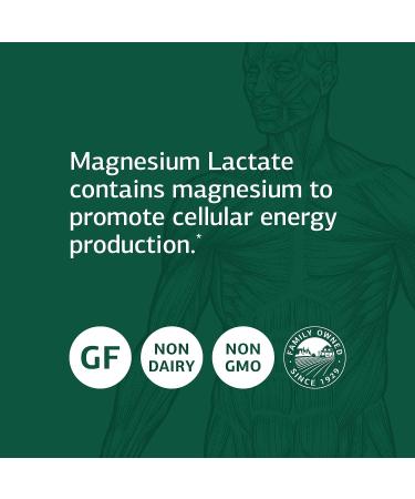 Standard Process Magnesium Lactate - Whole Food Energy Support - 90 Capsules | Bone, Muscle Health | Gluten Free - Buy Online on GoSupps.com