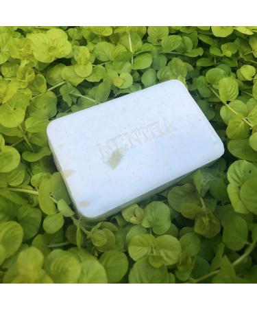 C.O. Bigelow Mentha Exfoliating Bar Soap No. 1413 - 7 oz | Peppermint Oil & Walnut Powder | Gently Cleanse & Smooth Dry Skin - Buy Online on GoSupps.com