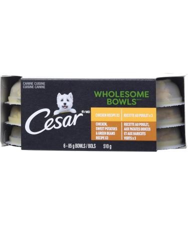 CESAR Wholesome Bowls Wet Dog Food - Chicken - Chicken Sweet Potato & Green Beans 6x85g Variety Pack Chicken - Chicken Sweet Potato & Green Beans 85 g (Pack of 6) - Buy Online on GoSupps.com