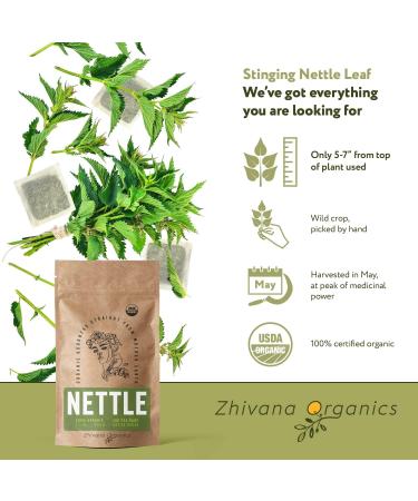Organic Stinging Nettle Tea - 100 Bags - Joint & Blood Sugar Support, Allergy Relief - Urtica Tea - Buy Online on GoSupps.com