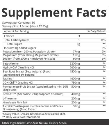 POWER PLAY FUEL All Natural Pre-Workout Powder with Electrolytes - Stim Free, Naturally Sweetened - High Powered & Loaded for Performance, Pumps, Focus & Energy - Blueberry Pomegranate, 30 Servings - Buy Online on GoSupps.com