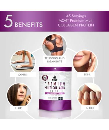 MO4T Hydrolyzed Multi Collagen Powder -Collagen Protein- Collagen Peptides-Type 1 2 3 5 10 -Sugar-Free (1 Pound) Hair Skin & Nail Paleo & Keto Non-GMO 1 Pound (Pack of 1) - Buy Online on GoSupps.com