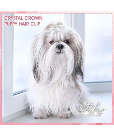 Buy Cobee Bling Dog Crown Hair Accessories | 4-Piece Rhinestone Dog & Cat Hair Clips - International Shipping Available - Buy Online on GoSupps.com