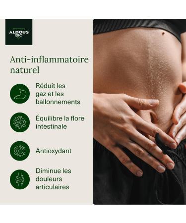 250 Probiotic Capsules + Organic Turmeric with Ginger and Black Pepper | 1460mg | Turmeric Based on Curcumin and Piperine | Natural Anti-Inflammatory | Advanced Formula | Certified Organic - Buy Online on GoSupps.com