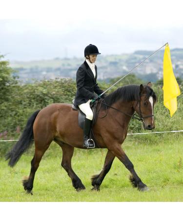 10Pcs Equestrian Training Flags Equestrian Training Equipment Equestrian Nylon Flags With Flagpole Training Flag Horsemanship Flag Horse Lunging Training Stick Animal Flag Training Stick - Buy Online on GoSupps.com