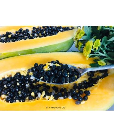 Buy Erasvital Papaya Nuclei 50g - Natural Bitter Taste Raw Vegan Superfood No Hybrids International Shipping - Buy Online on GoSupps.com