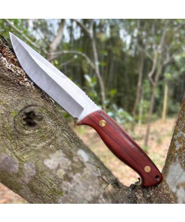 Coosnug D2 Sharp Survival Knife with Leather Bag - Ergonomic Rosewood Handle for Outdoor Camping - Buy Online on GoSupps.com