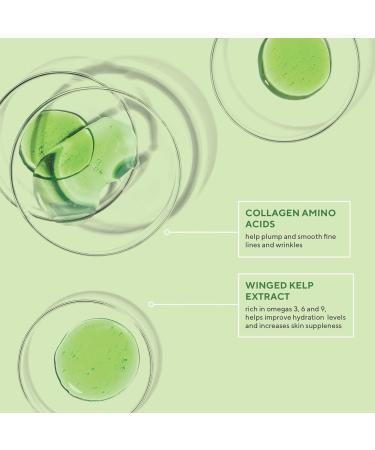 Murad Rapid Collagen Infusion - Resurgence Anti-Ageing for Face - Skin Smoothing Cream Targets Deep Wrinkles - Gentle Skin Treatment Backed by Science 30ml - Buy Online on GoSupps.com