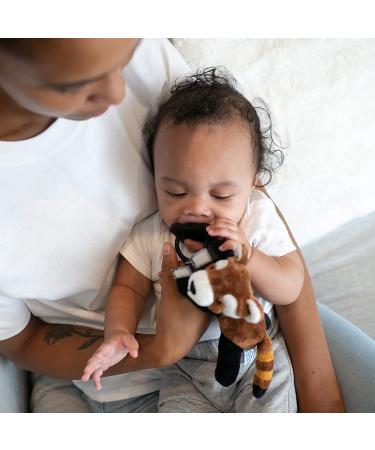 Dr. Brown's Red Panda Lovey Pacifier Holder & Teether Clip with HappyPaci Pacifier - Buy Online on GoSupps.com