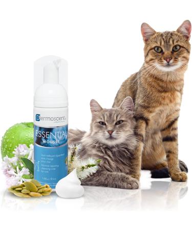 Dermoscent Essential Mousse for Cats 150ml - Natural Cat Grooming Solution - Buy Online on GoSupps.com