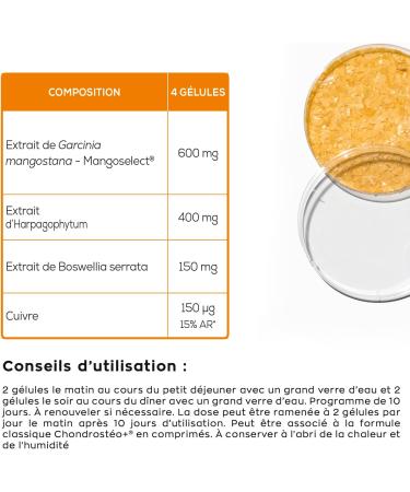 GRANIONS Chondrost o+ Flash Articulations - 40 G lules 10 Jours - Mangoselect (Garcinia Mangostana) Boswellia Harpagophytum - Confort Articulaire - Laboratoire des Granions - Marque Fran aise FORMAT FLASH 10 JOURS - Buy Online on GoSupps.com