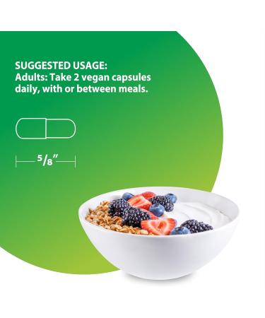 Rainbow Light Mushroom Power Supplement | 60 Capsules | Complex Made with 10 Potent Mushrooms | Includes Lions Mane Chaga Shiitake Reishi & More | Non-GMO and Gluten Free - Buy Online on GoSupps.com