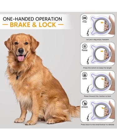 Hailoly 3m Roller Linen Dog Leash for Medium Dogs - 360 Rotatable Chain Head LED Night Light & Rainbow Ring - Perfect for Dogs Up to 30kg (White) - International Shipping - Buy Online on GoSupps.com