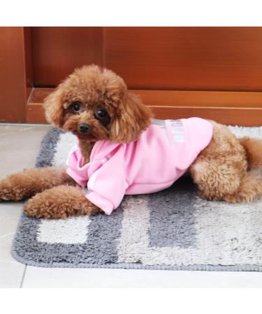 Fashion Dog Hoodie - Cotton Streetwear for Small & Medium Dogs | Lightweight Sweatshirt in Light Blue & Pink - Trendy Dog & Cat Outfit (XS) - Buy Online on GoSupps.com