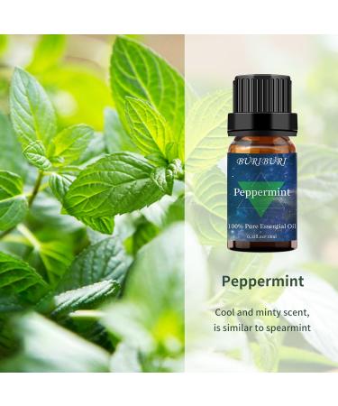 100% Pure Lavender & Peppermint Essential Oil Gift Set | Organic Aromatherapy | 10ML x 2 | Undiluted Natural Oils - Buy Online on GoSupps.com
