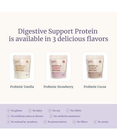 BETHANY'S PANTRY Digestive Support Protein - Probiotics for Digestive Health Cocoa - Clean Lean Protein - Premium Vegan Pea Protein Powder Plant Based - 20 Servings 1lb (Pack of 1) - Buy Online on GoSupps.com