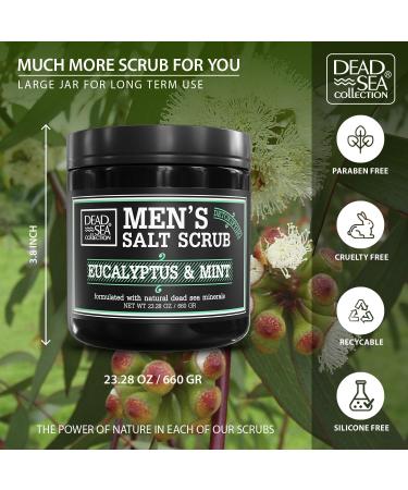 Dead Sea Eucalyptus Mint Salt Body Scrub for Men - 23.28 OZ | Pure Oils & Minerals - Buy Online on GoSupps.com