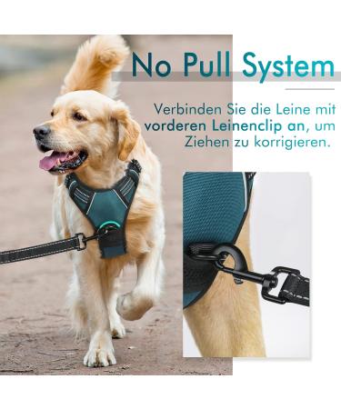 Rabbitgoo No-Pull Dog Harness for Medium & Large Dogs - Breathable Reflective Anti-Training Control - Dark Green (1 Pack) - Buy Online on GoSupps.com