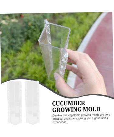 Toddmomy 2pcs Vegetable Shaping Fruit Garden Cucumber Vegetable Accessories Modeling - Buy Online on GoSupps.com