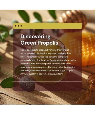 ApisBrasil - Brazilian Green Bee Propolis Liquid Extract (30ml) - Natural Immune Support - Antioxidant - Pack of 1 - Buy Online on GoSupps.com
