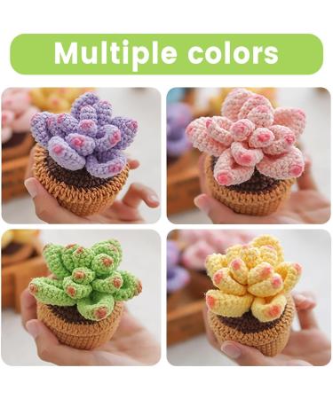 4Pcs Succulents Crochet Kit for Beginners - Complete Adult Crocheting Starter Set with Video Tutorials - Buy Online on GoSupps.com