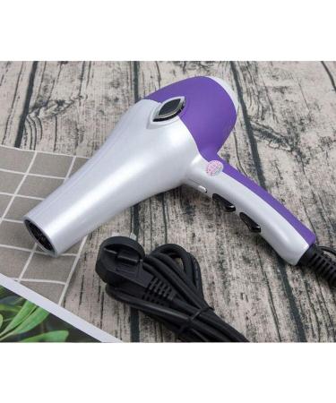 2200 Watt Powerful Professional Ionic Hair Dryer with 2-Speed and 3 Temperature Settings Cool Shot Function AC Motor Salon Fast Blow Dryers with Nozzle for Home and Salon Men and Women Purple Small - Buy Online on GoSupps.com