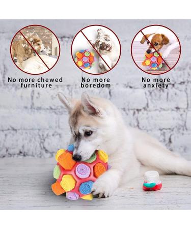 Sniffed Ball for Dogs - Interactive Sniffing Toy Odor Training & Washable Snack Ball for Intelligence & Instinct Training - Buy Online on GoSupps.com