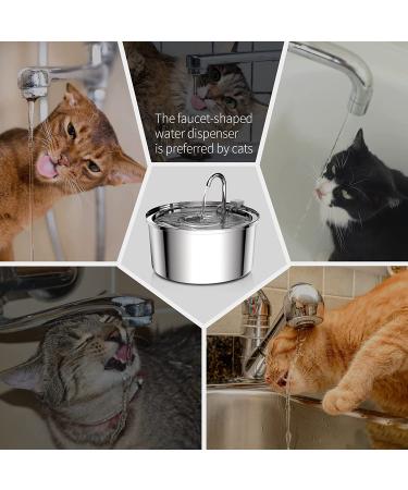 Tomxcute 3.2L Stainless Steel Cat Water Fountain with Ultra-Quiet Pump and Filters - Ideal for Dogs, Cats, and Multiple Pets - Buy Online on GoSupps.com