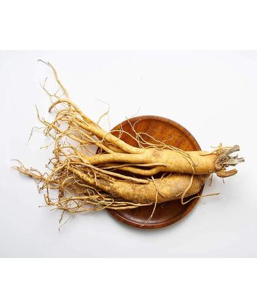 Menopause Herbal Tea - Caffeine Free - Hormonal Balance & Hot Flashes Relief - 28 Days Supply - Black Cohosh, Gingko, Red Clover & More - Menopause Support Tea - Buy Online on GoSupps.com
