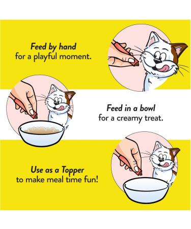 TEMPTATIONS Cat Treats Adult Creamy Puree Lickables Salmon 12g Pouches (44 Pack) - Buy Online on GoSupps.com
