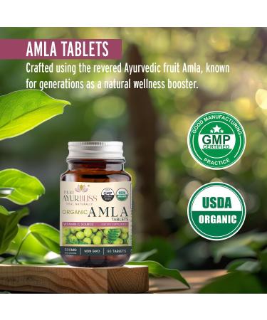 PureAyurbliss 100% Organic Amla Tablets Ayurvedic for Digestive Health Gut Balance and Immune Support Vegan Non-GMO Amla Capsules for Daily Vitality Skin Wellness & Natural Nutrition - 90 Count - Buy Online on GoSupps.com