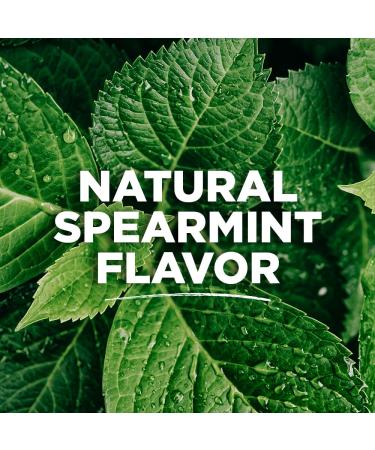 Tom's of Maine Fluoride-Free Antiplaque & Whitening Natural Toothpaste - Spearmint 5.5 oz. (Pack of 1) - Buy Online on GoSupps.com