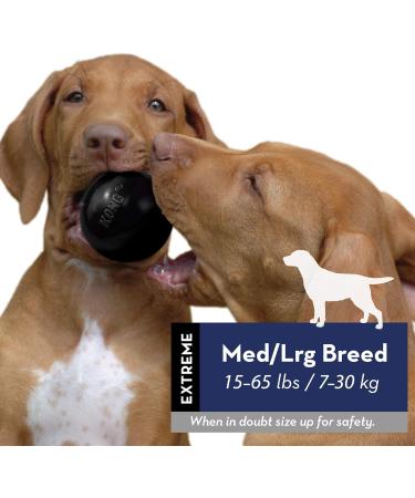 Kong Extreme Ball - Durable Rubber Dog Toy for Strong Chewers - Medium to Large Dogs - 1 Pack - Buy Online on GoSupps.com