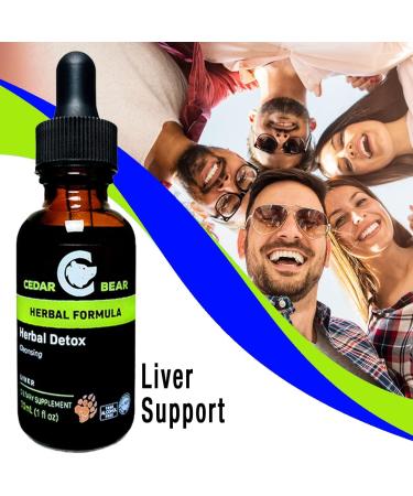 Cedar Bear Herbal Detox Liquid Supplement - Deep Cleansing for Organs & Tissues - 1 Fl Oz - Buy Online on GoSupps.com