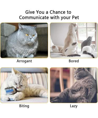 Anjing 2 Pack Paw Style Dog Cat Catch The Interactive Toy Exercise Chaser Toy Pet Scratching Training Tool - Buy Online on GoSupps.com