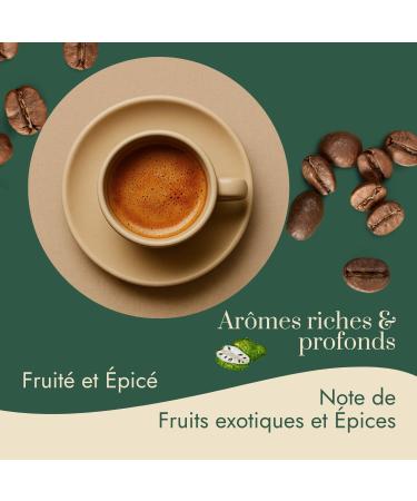 Caf Bonnac Caf En Grain Inde Malabar Moussonn 1kg | 100% Arabica Traditionnel | Notes De C r ales Poivre Doux Et Bois Sec | Torr faction Artisanale | Id al Machine Caf Grain 1 1 kg (Lot de 1) - Buy Online on GoSupps.com