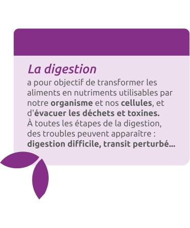 HERBESAN DESMODIUM 3000 mg Liver well-being French laboratory 20 ampoules of 10 ml - Buy Online on GoSupps.com