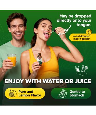 GREABBY Holy Basil Tincture Liquid Saffron Holy Basil Rosemary Supplement Drops for Kids & Adults with Theanine GABA Vitamin C & Zinc Stress Relief Brain & Vision Support 2 Fl Oz - Buy Online on GoSupps.com