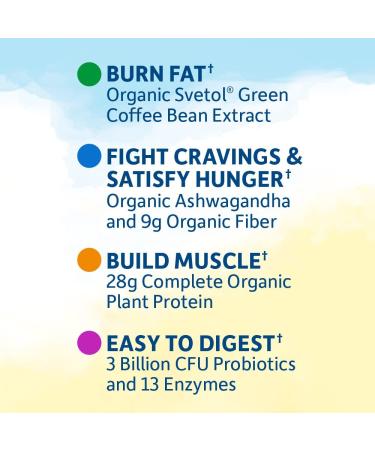 Garden of Life RAW Organic Fit Protein Powder for Weight Loss - 15.1 oz - Buy Online on GoSupps.com