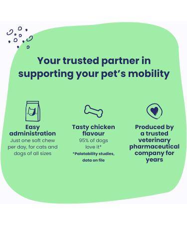 Vetoquinol Flexadin Advanced (with boswellia) Dog Joint Supplement One Unit a Day for Dogs 30 Chews - Buy Online on GoSupps.com