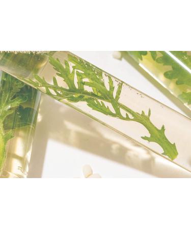 APRILSKIN Artemisia Rice Toner 6.76 oz | Dry, Sensitive, Acne-Prone Skin | Vegan, Cruelty Free, Low pH | Calming & Firming | No Sulfates or Artificial Fragrance - Buy Online on GoSupps.com