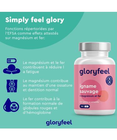 Wild Yam Extract (312 mg) with Chasteberry Alchemilla Magnesium and Iron (180 Capsules) Pure and Highly Dosed Yam Reduces Fatigue and Supports Immune System* 100% Vegan - Buy Online on GoSupps.com