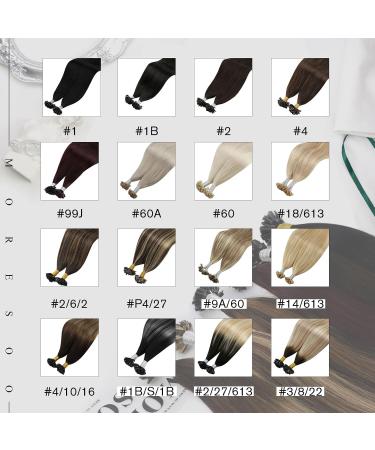 Moresoo Real Hair Extensions 55cm - Black & Silver Keratin Bonded U-Tip Hair Extensions - Hot Fusion Ombre Extensions (1g/S 50g) - Buy Online on GoSupps.com