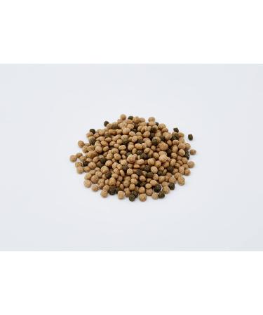 Buy Sera Raffy Baby Granules 100 ml (Pack of 2) Premium Fish Food for Healthy Aquatic Life | International Shipping Available - Buy Online on GoSupps.com